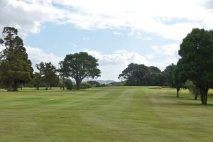 Waitangi 3rd Approach